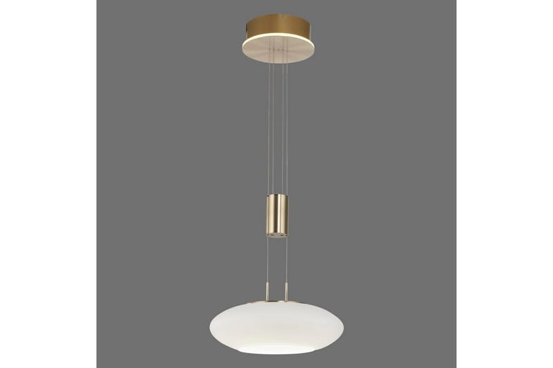 Taklampa Q-Etienne - 35x200x35 cm, Matt mässing - Belysning - Lampor & belysning inomhus - Fönsterlampa