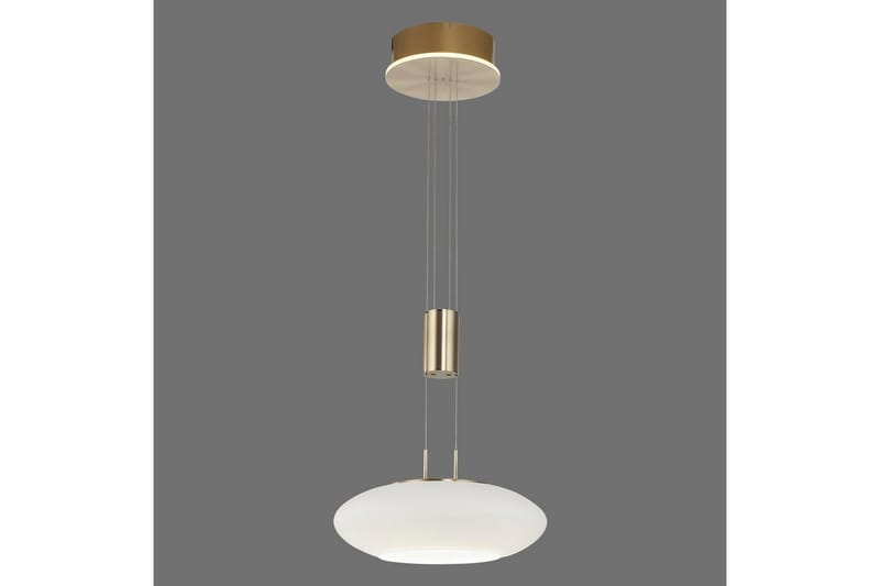 Taklampa Q-Etienne - 35x200x35 cm, Matt mässing - Belysning - Lampor & belysning inomhus - Fönsterlampa