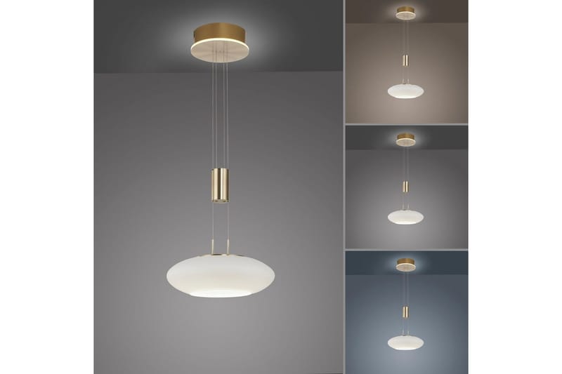 Taklampa Q-Etienne - 35x200x35 cm, Matt mässing - Belysning - Lampor & belysning inomhus - Fönsterlampa