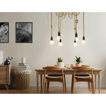 Taklampa Rampside med 6 Lampor - 18 cm - Belysning - Lampor & belysning inomhus - Fönsterlampa