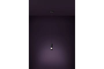 Takpendel Eglo Bernabeta Svart - Belysning - Lampor & belysning inomhus - Fönsterlampa