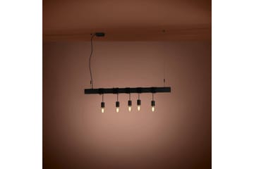 Takpendel Eglo Townshend-B Svart 5 Lampor - 5 Lampor - Belysning - Lampor & belysning inomhus - Fönsterlampa
