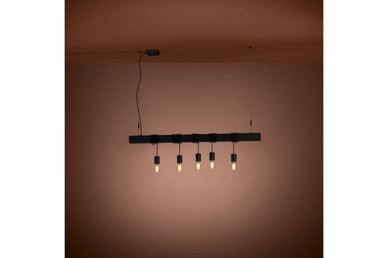 Takpendel Eglo Townshend-B Svart 5 Lampor - 5 Lampor - Belysning - Lampor & belysning inomhus - Fönsterlampa
