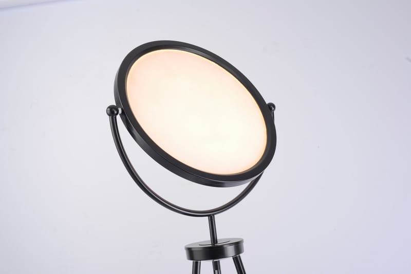 CARL golvlampa, svart - Svart - Belysning - Lampor & belysning inomhus - Golvlampa