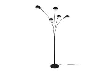 Dito golvlampa 5L E14 mattsvart - Matt svart - Belysning - Lampor & belysning inomhus - Golvlampa