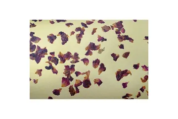 Golvlampa Eglo Castuera Guld med Rosblad - Belysning - Lampor & belysning inomhus - Golvlampa