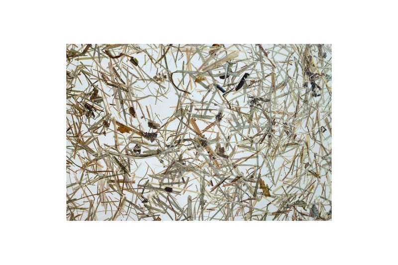 Golvlampa Eglo Hontongas Brun - Belysning - Lampor & belysning inomhus - Golvlampa