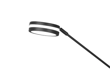 Franklin LED Golvlampa uplight antracit - Antracit - Belysning - Lampor & belysning inomhus - Golvlampa