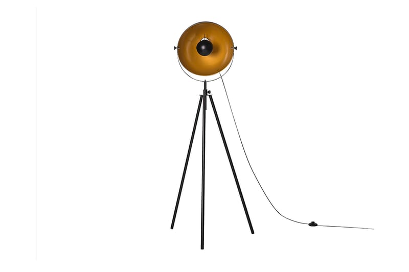 Golvlampa Thames 170 cm - Svart - Golvlampa - Hall lampa