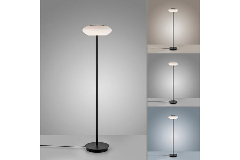 Golvlampa Q-Etienne - 35x152x35 cm - Belysning - Lampor & belysning inomhus - Golvlampa