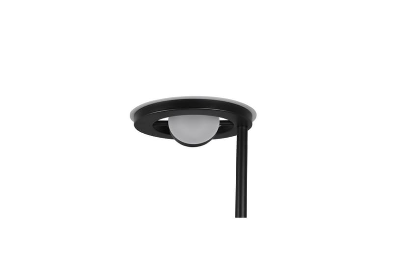 Golvlampa TRIO Barrie Mattsvart - Mattsvart - Belysning - Lampor & belysning inomhus - Golvlampa