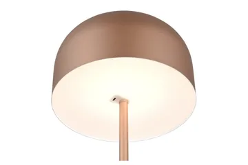 Golvlampa TRIO Jeff Kaffebrun - Kaffebrun - Belysning - Lampor & belysning inomhus - Golvlampa