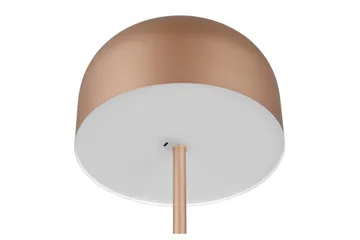 Golvlampa TRIO Jeff Kaffebrun - Kaffebrun - Belysning - Lampor & belysning inomhus - Golvlampa