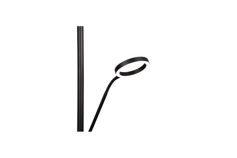 Golvlampa TRIO Willis Mattsvart - Mattsvart - Belysning - Lampor & belysning inomhus - Golvlampa