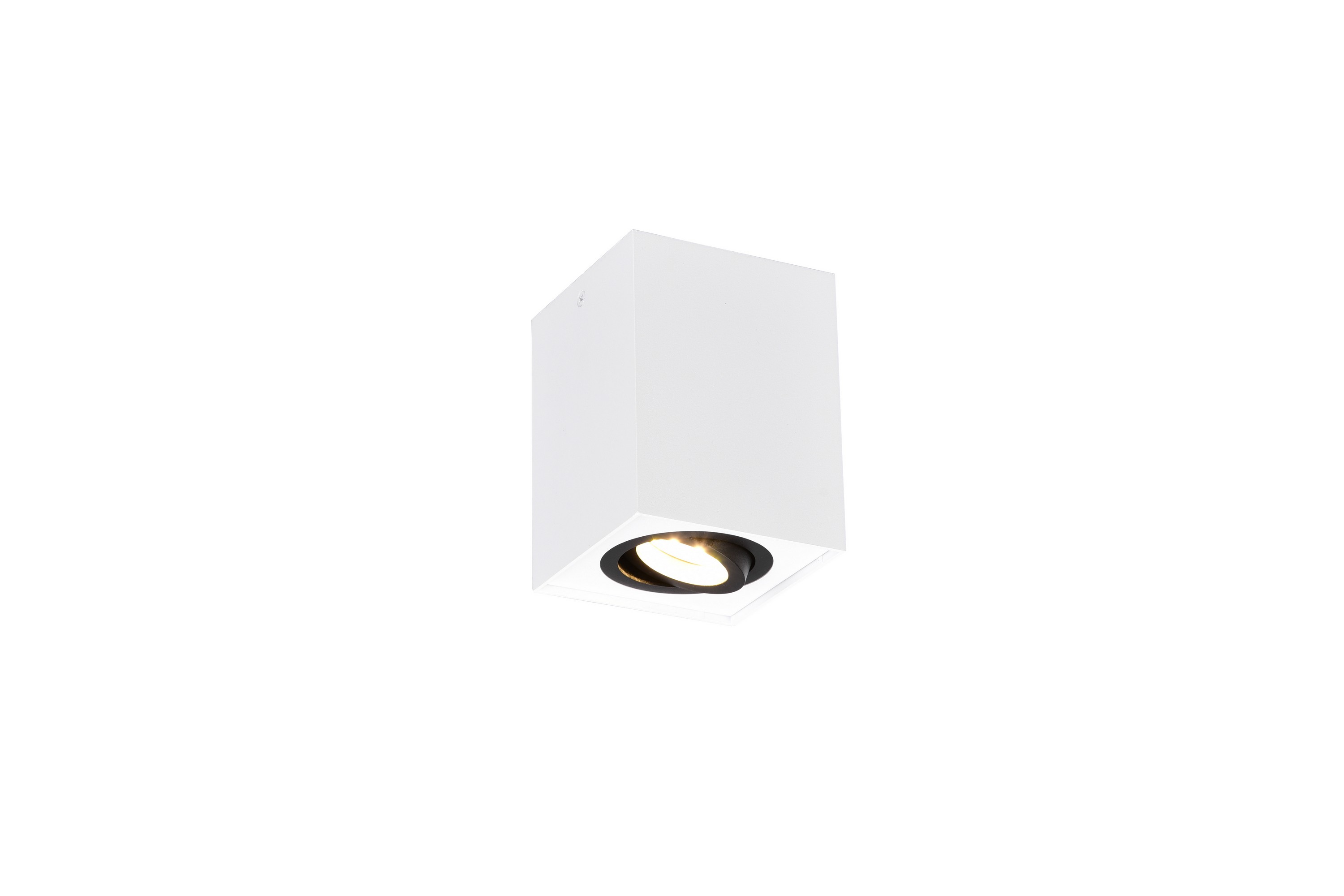 Biscuit plafond GU10 vit/svart Vit/svart