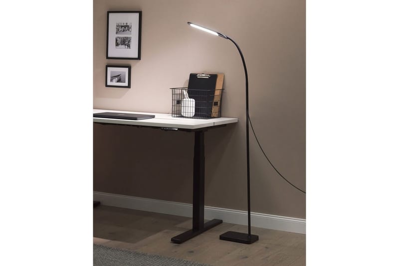 Kaloma Golvlampa 174 cm - Svart - Belysning - Lampor & belysning inomhus - Golvlampa