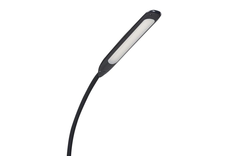 Kaloma Golvlampa 174 cm - Svart - Belysning - Lampor & belysning inomhus - Golvlampa