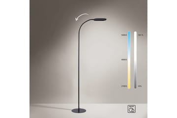 Kelly Just Light Golvlampa - Black - Belysning - Lampor & belysning inomhus - Golvlampa