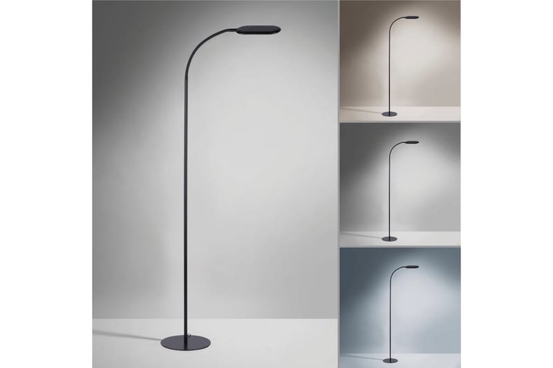 Kelly Just Light Golvlampa - Black - Belysning - Lampor & belysning inomhus - Golvlampa
