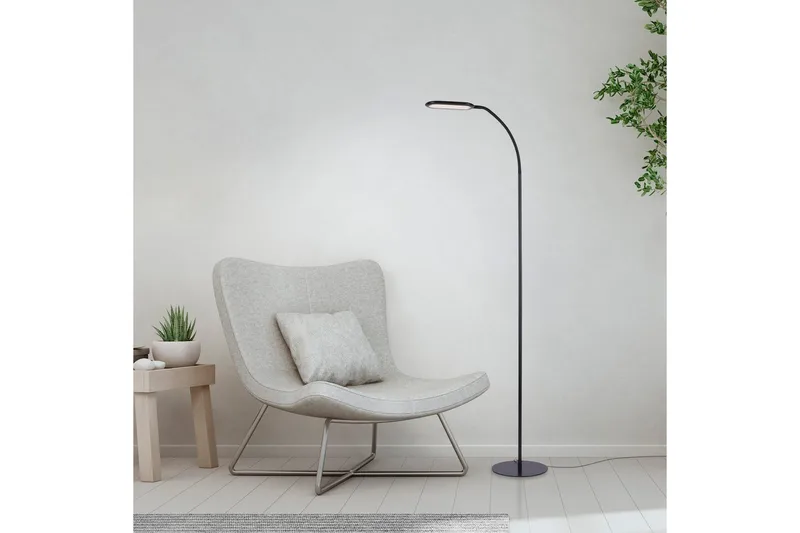 Kelly Just Light Golvlampa - Black - Belysning - Lampor & belysning inomhus - Golvlampa