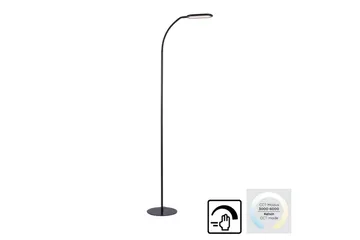 Kelly Just Light Golvlampa - Black - Belysning - Lampor & belysning inomhus - Golvlampa