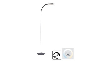 Kelly Just Light Golvlampa - Black - Belysning - Lampor & belysning inomhus - Golvlampa