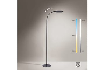 Kelly Just Light Golvlampa - Black - Belysning - Lampor & belysning inomhus - Golvlampa