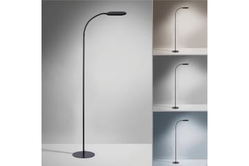 Kelly Just Light Golvlampa - Black - Belysning - Lampor & belysning inomhus - Golvlampa