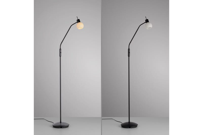 Loki Just Light Golvlampa - Black - Belysning - Lampor & belysning inomhus - Golvlampa