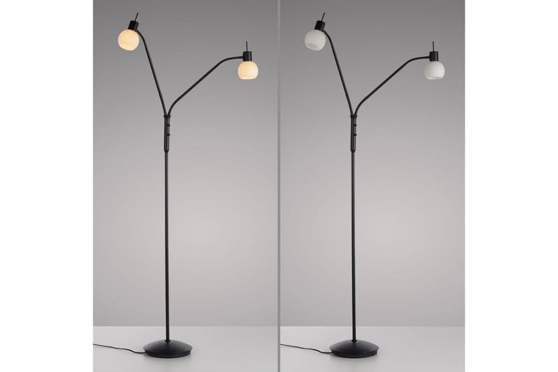 Loki Just Light Golvlampa - Black - Belysning - Lampor & belysning inomhus - Golvlampa