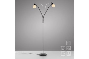 Loki Just Light Golvlampa - Black - Belysning - Lampor & belysning inomhus - Golvlampa