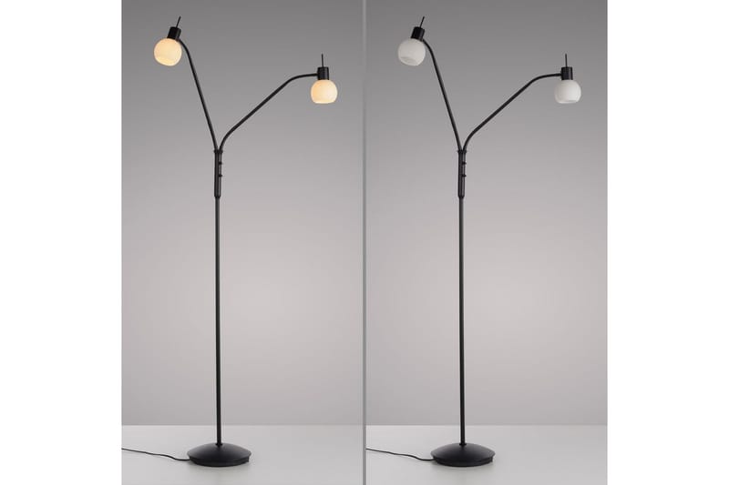 Loki Just Light Golvlampa - Black - Belysning - Lampor & belysning inomhus - Golvlampa