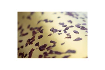 Bordslampa Eglo Castuera Guld med Rosblad - Belysning - Lampor & belysning inomhus - Sovrumslampa - Sänglampa - Sängbordslampa