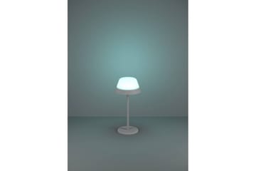 Bordslampa Eglo Meggiano Grå/Vit - Grå/Vit - Belysning - Lampor & belysning inomhus - Sovrumslampa - Sänglampa - Sängbordslampa