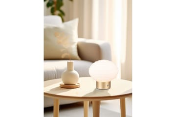 Bordslampa TRIO Earl Mattmässing/vit - Mattmässing/vit - Belysning - Lampor & belysning inomhus - Sovrumslampa - Sänglampa - Sängbordslampa