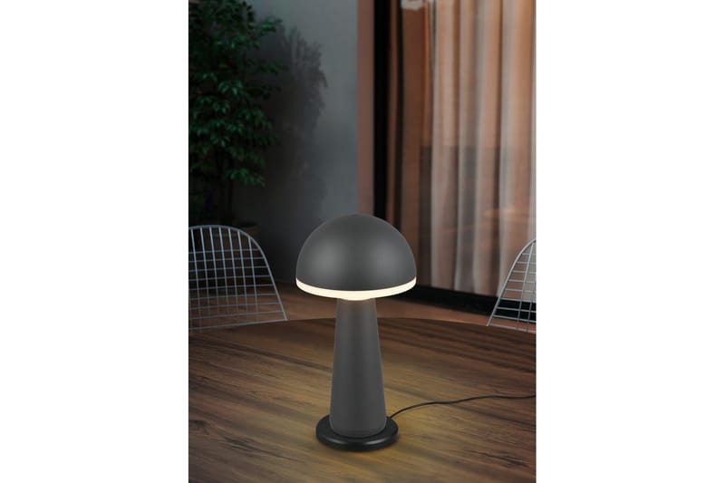 Bordslampa TRIO Fungo Antracit - Antracit - Belysning - Lampor & belysning inomhus - Sovrumslampa - Sänglampa - Sängbordslampa