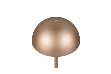 Bordslampa TRIO Munoz Kaffebrun - Kaffebrun - Belysning - Lampor & belysning inomhus - Sovrumslampa - Sänglampa - Sängbordslampa