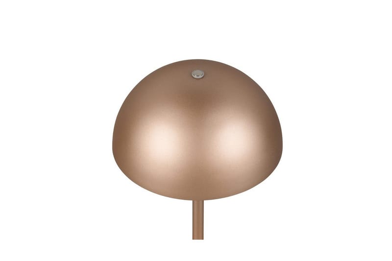 Bordslampa TRIO Munoz Kaffebrun - Kaffebrun - Belysning - Lampor & belysning inomhus - Sovrumslampa - Sänglampa - Sängbordslampa