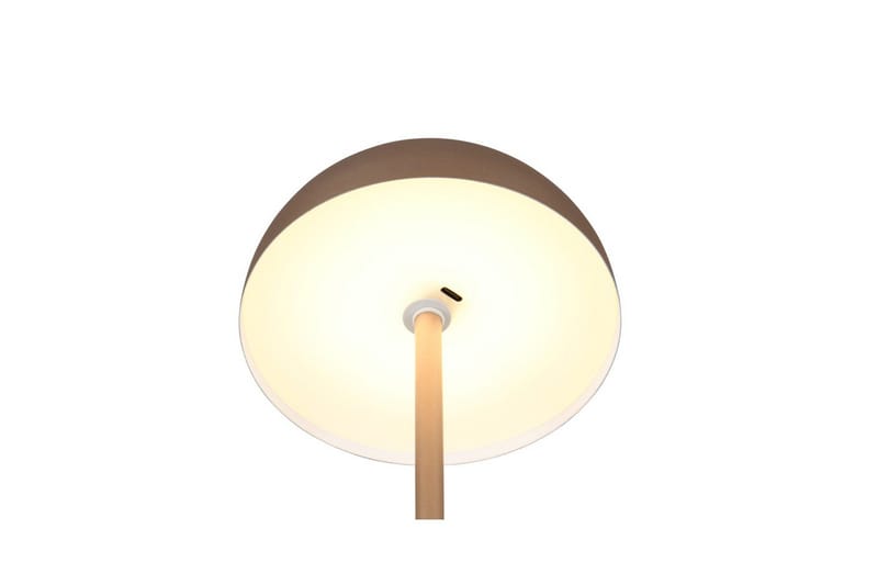 Bordslampa TRIO Munoz Kaffebrun - Kaffebrun - Belysning - Lampor & belysning inomhus - Sovrumslampa - Sänglampa - Sängbordslampa