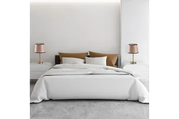 Bordslampset (2 stycken) Jaspal Antik / Svart - Antik / Svart - Belysning - Lampor & belysning inomhus - Sovrumslampa - Sänglampa - Sängbordslampa