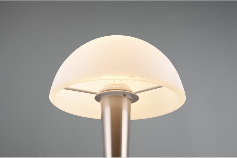 Canaria bordslampa E14 (inkl.) borstad stål - Stål - Belysning - Lampor & belysning inomhus - Sovrumslampa - Sänglampa - Sängbordslampa