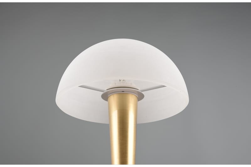 Canaria bordslampa E14 (inkl.) mattmässing - Matt mässing - Belysning - Lampor & belysning inomhus - Sovrumslampa - Sänglampa - Sängbordslampa