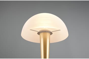 Canaria bordslampa E14 (inkl.) mattmässing - Matt mässing - Belysning - Lampor & belysning inomhus - Sovrumslampa - Sänglampa - Sängbordslampa