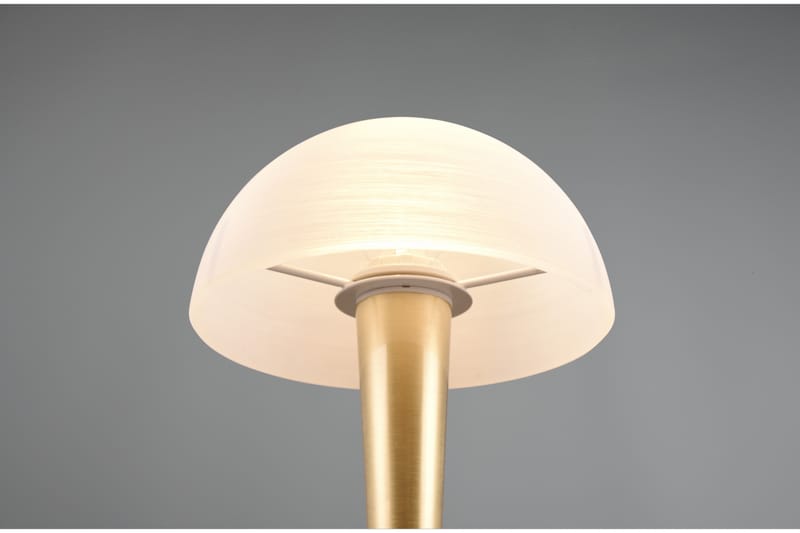 Canaria bordslampa E14 (inkl.) mattmässing - Matt mässing - Belysning - Lampor & belysning inomhus - Sovrumslampa - Sänglampa - Sängbordslampa