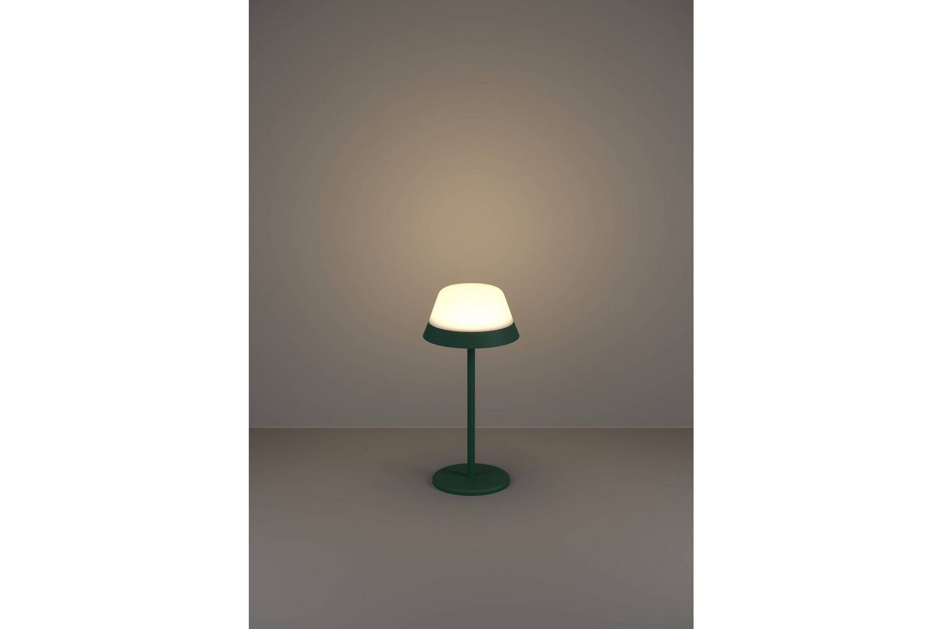 Alternativ bild 1 för EGLO Meggiano - Green/ White