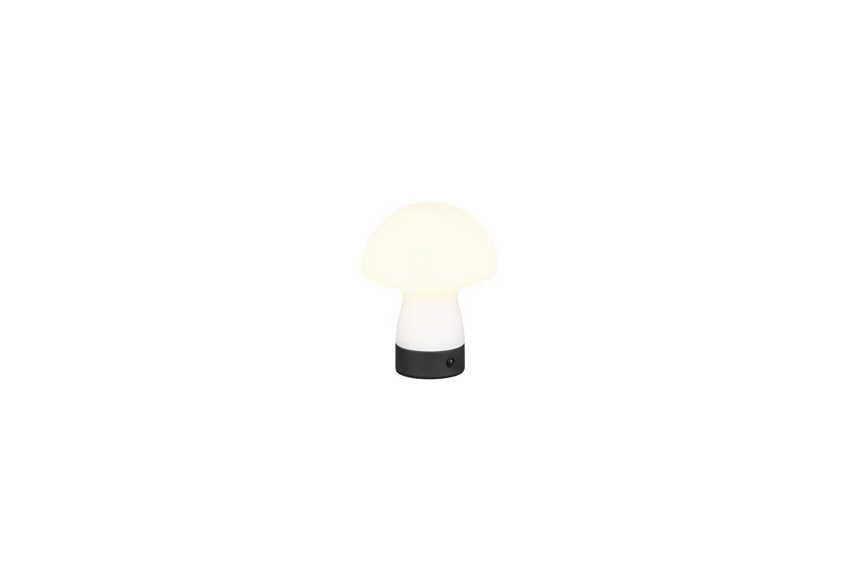 Bordslampa TRIO Dooley Mattvit Mattvit