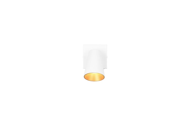 Spot TRIO Sharp 1-del, Mattvit/guld - 1-del, Mattvit/guld - Belysning - Lampor & belysning inomhus - Hall lampa