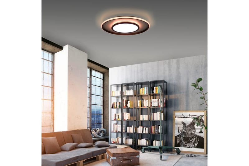 Arenda Just Light Taklampa - Black - Belysning - Lampor & belysning inomhus - Taklampa & takbelysning - Takplafond