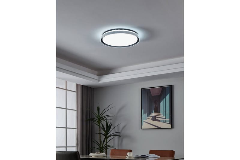 Taklampa Eglo Seluci Svart Vit, Klar - Svart/Vit - Belysning - Lampor & belysning inomhus - Taklampa & takbelysning - Takplafond
