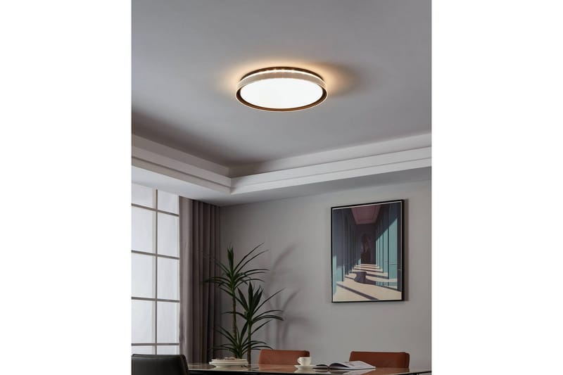 Taklampa Eglo Seluci Svart Vit, Klar - Svart/Vit - Belysning - Lampor & belysning inomhus - Taklampa & takbelysning - Takplafond